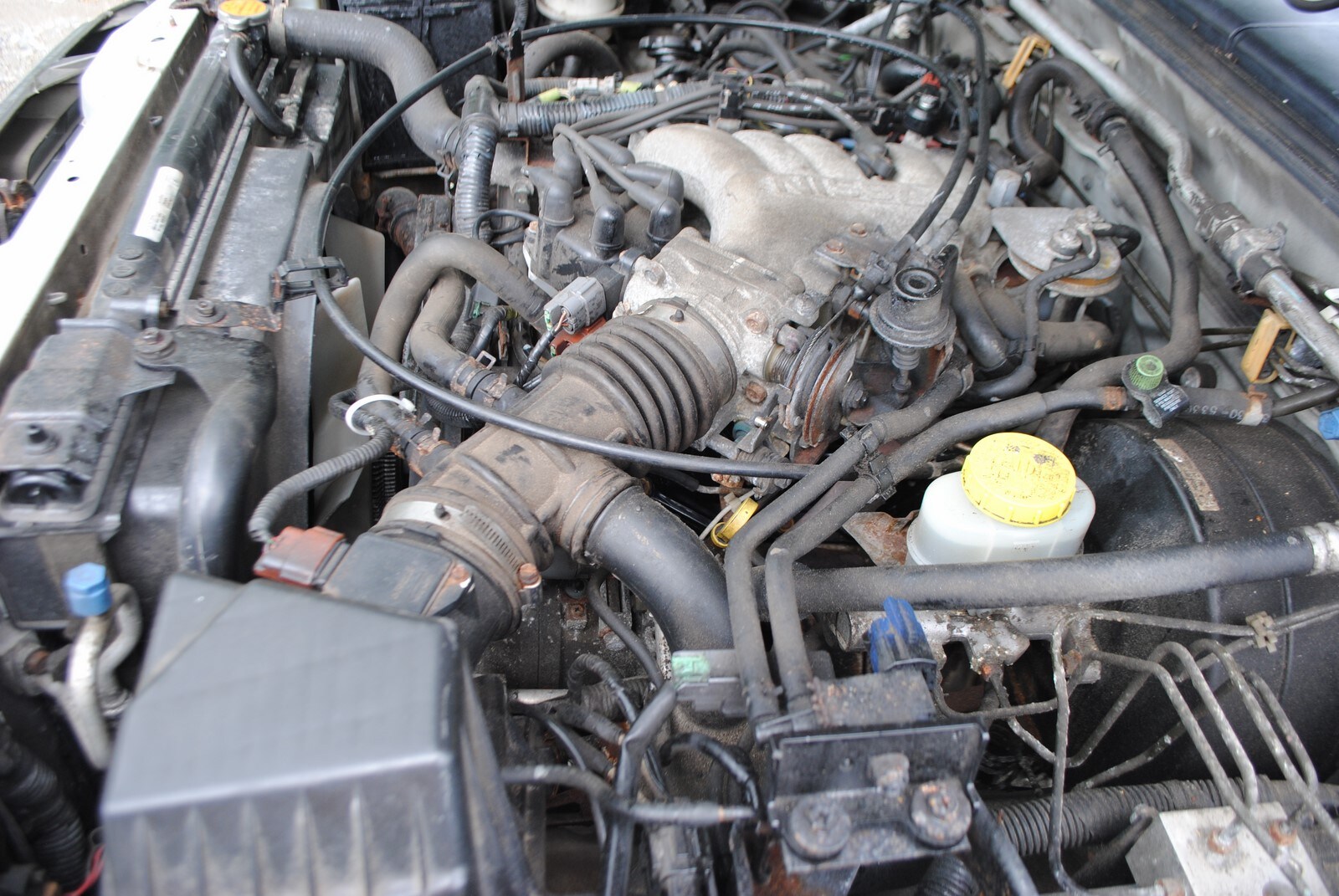 2000 nissan frontier engine 2000 nissan frontier engine